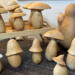 This shows several unfinished gourds with gourd pieces set on top to create roofs. 